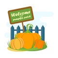 Welcome pumpkin patch Royalty Free Stock Photo
