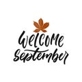 Welcome September - hand drawn Seasons greeting positive lettering phrase isolated on the white background. Fun brush