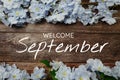 Welcome September text and blue flower decoration on wooden background
