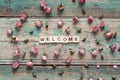 Welcome sign and pink roses on wooden background. Royalty Free Stock Photo