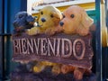 Welcome sign in Spanish Bienvenidos