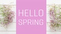 Welcome spring concept