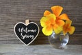 Welcome Spring greeting card.Yellow- orange Eschscholzia or California Poppy flowers in a glass vase and decorative heart.