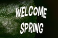 Welcome spring. Macro shot, green leaf, dark background, early spring