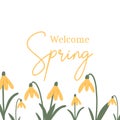 Welcome spring. Pretty springy postcard.