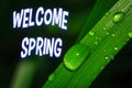 Welcome spring text, delicate water drop glistening on a vibrant leaf. Welcome spring