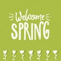 Welcome spring text on green textured background and hand drawn tulip flowers. Ecology illustration. Royalty Free Stock Photo