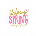 Welcome spring. Typography banner with spring greeting. Hand lettering and small butterfly. Pink and green colors on