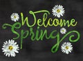 Welcome spring