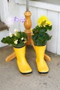 Welcome springtime bright yellow rubber rain boots used as flower planters