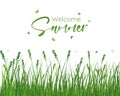 Welcome Summer Banner