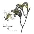Welcome summer macro detailed illustration