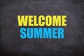 Welcome summer yellow and blue text with blackboard background for summer season. (amazing image of summer season)