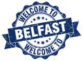 Welcome to Belfast seal