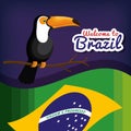 welcome to brazil poster