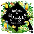 Welcome to Brazil! Vector illustration of tropical birds.
