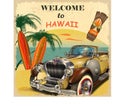 Welcome to Hawaii