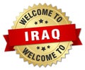 welcome to Iraq badge