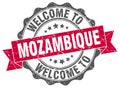 Welcome to Mozambique seal