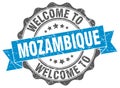 Welcome to Mozambique seal