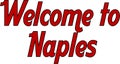 Welcome to Naples text sign illustration