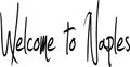 Welcome to Naples text sign illustration