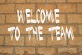 WELCOME TO TEAM text concept painted on brick wall . Royalty Free Stock Photo