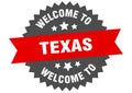 welcome to Texas. Welcome to Texas isolated sticker.