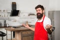 Welcome in the world of tastes. Hipster in kitchen. Restaurant or cafe cook. Bearded man in red apron. Mature male Royalty Free Stock Photo