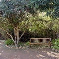 Welcoming Garden Bench Royalty Free Stock Photo