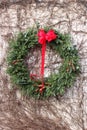 Old weathered stone wall with heavy cover of creeping vine, Winter berries, and Christmas wreath Royalty Free Stock Photo