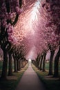 Welcoming spring season with rows of stunning pink flowers trees around a footpath.AI Generated