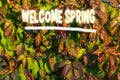 Welcoming text Welcome Spring overlays a lush backdrop of fresh, green leaves, symbolizing the energetic reawakening of