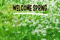Welcoming text Welcome Spring overlays a lush backdrop of fresh, green leaves, symbolizing the energetic reawakening of