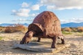 Welded steel sculpture of a giant tortoise by Ricardo Breceda