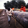 Welder working welding pipelineinstallation in construction site wearing safety mask equipment for protective