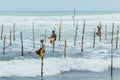 Stilt fishermen beautiful scenery in southern Sri Lanka