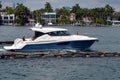 Blue and White Cabin Cruiser Royalty Free Stock Photo