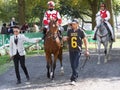 McKulick by Frankel, heading towards the track for the Ms. Grillo Stakes