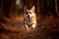 Well-built, strong and athletic Welsh Corgi dog is running. Quick and agile breed. Generative AI