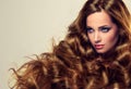 Well cared, dense and strong womans hair. Royalty Free Stock Photo