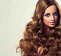 Well cared, dense and strong womans hair. Royalty Free Stock Photo