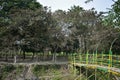 View of Buxa Tiger Reserve at Doors on a cloudy evening. Traveling to Dooars Royalty Free Stock Photo