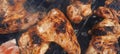 Well cooked chicken wings Royalty Free Stock Photo