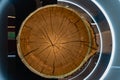 well-counted annual rings on the trunk of a large tree Royalty Free Stock Photo