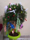 A well decorated Christmas tree with lots of candies and ribbons on it in Home