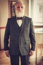 Well-dressed senior man in luxury interior Royalty Free Stock Photo