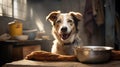 A well-fed and contented mongrel dog settled down next to a large stainless steel bowl. Taking care of animals. Close-up.