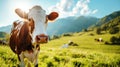 A well-groomed cow on green meadow on a sunny day. Organic dairy products concept. Agricultural landscape. Generative AI Royalty Free Stock Photo