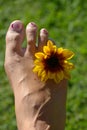 Well-groomed female foot with stylish nail-polish with flower decoration in summer sun Royalty Free Stock Photo